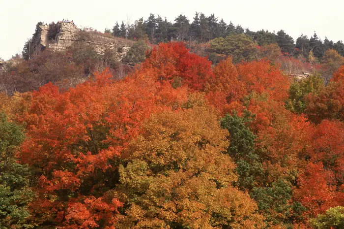Scenic autumn landscape view of the Niagara Escarpment near Mount Nemo, a local natural landmark situated close to custom shower installation and bathroom renovation project sites in the Alton Village area of Burlington, Ontario.