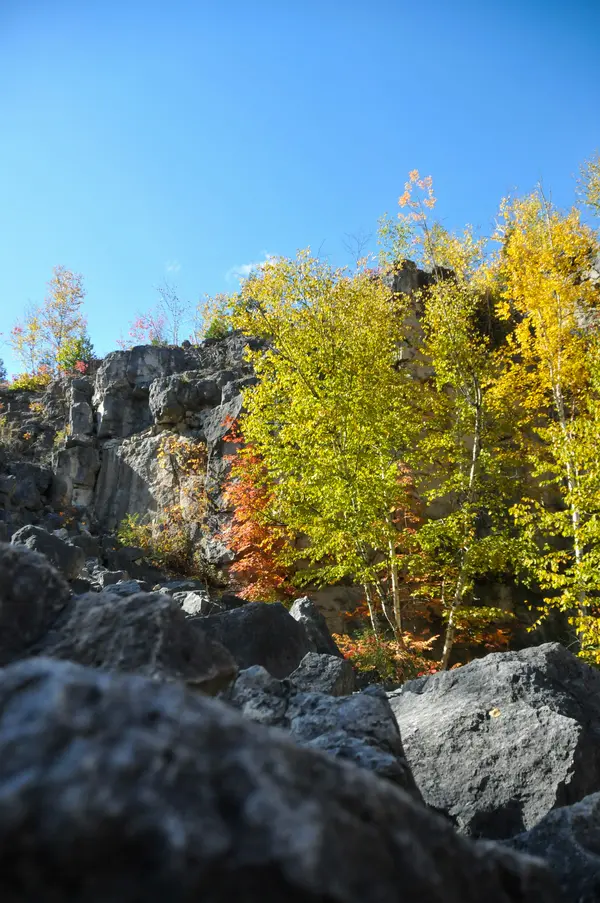 Mount Nemo wooded trail near Alton Village Burlington Ontario