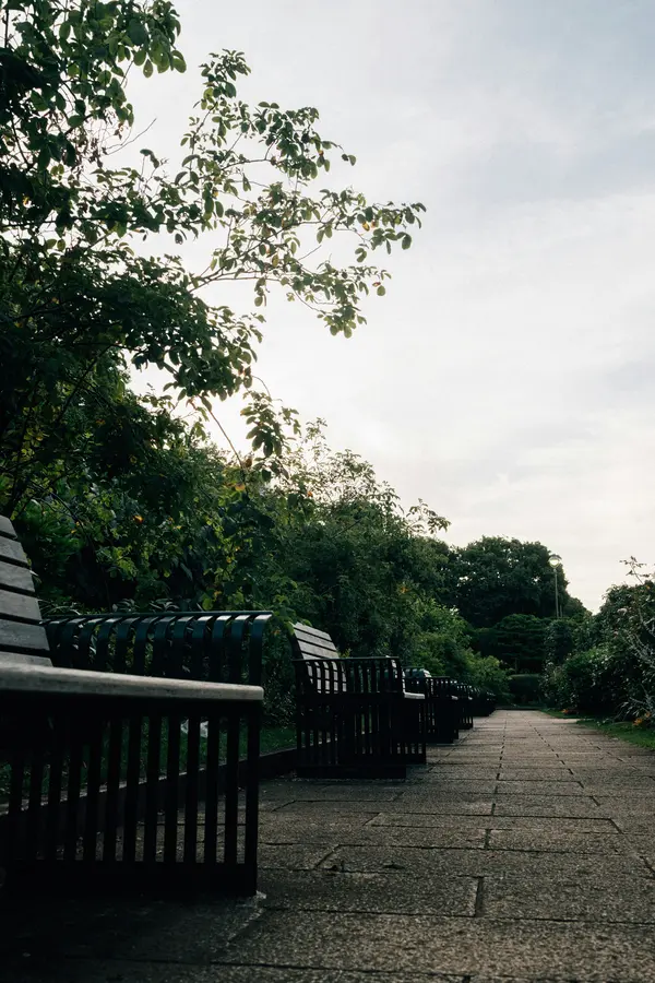 Tree-lined park path with benches, representative of the neighbourhood parks and walking trails near Millcroft, Burlington